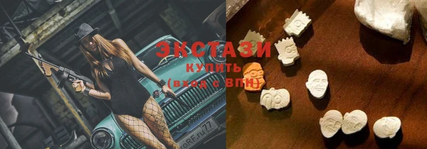 дживик Няндома