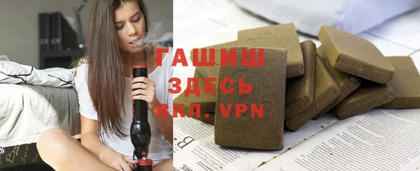 дживик Няндома