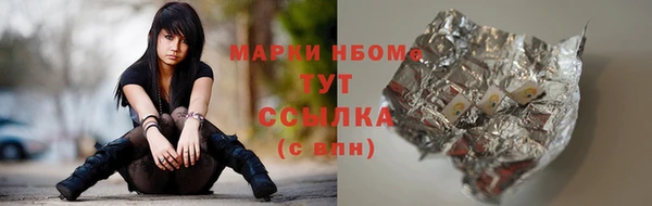 дживик Няндома