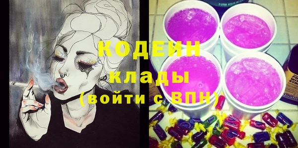 дживик Няндома