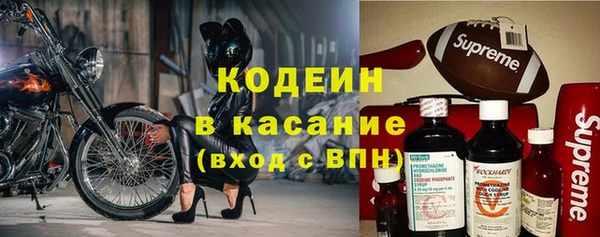 дживик Няндома