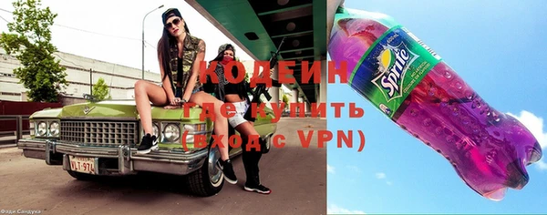 дживик Няндома